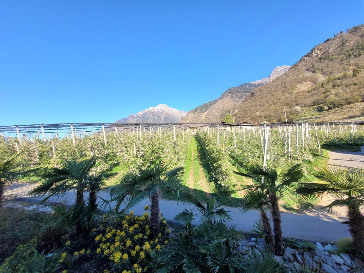 Oberangerhof Lejlighedshotel Lagundo Eksteriør billede